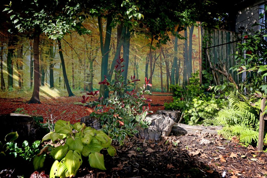 Residential Care Home in Ormskirk | Hillcroft Care Home