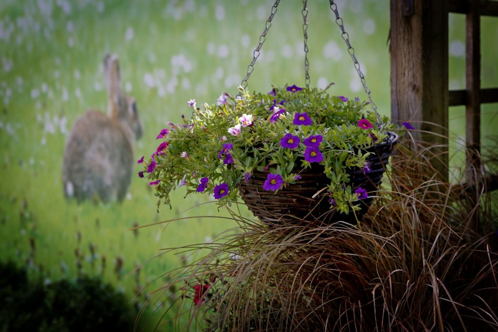 Residential Care Home in Ormskirk | Hillcroft Care Home